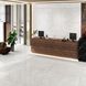 Керамограніт Ceramica Deseo Real Onix Ice 120x60 см 576946 фото 2