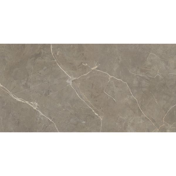 Керамограніт Geotiles G.Messa Greige 120x60 см. 596098 фото
