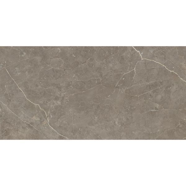 Керамограніт Geotiles G.Messa Greige 120x60 см. 596098 фото