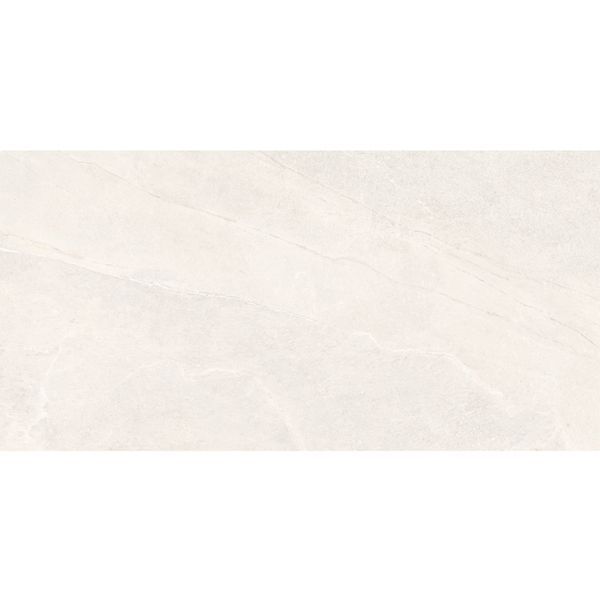 Керамограніт Almera Ceramica Efm126H220A Monet Granular 120x60 см. 596853 фото