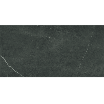 Керамограніт Almera Ceramica P.E. Northon Taupe 120x60 см ректифікована 531290 фото
